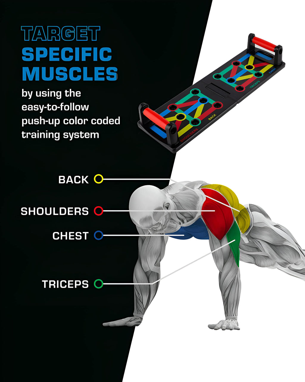 12 in 1 Multifunction Pushup Board