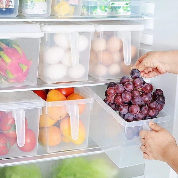Multipurpose Fridge storage containers & jar Set (Pack of 6)